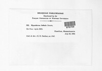 Image Associated With the Occurence